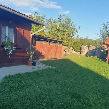 Hazanéző Panzió Acomodação com café da manhã Corund  Exterior foto