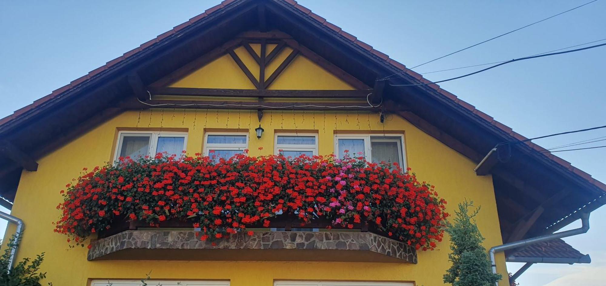 Hazanéző Panzió Acomodação com café da manhã Corund  Exterior foto