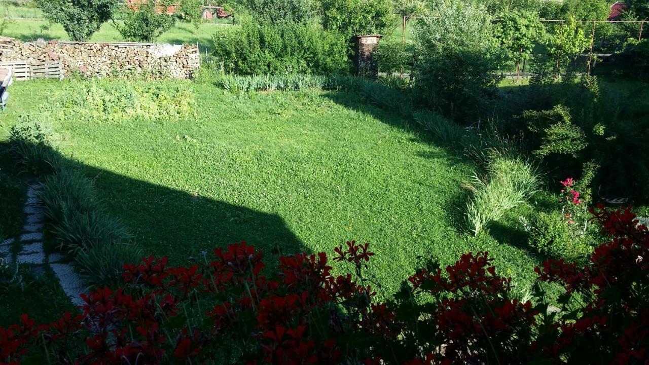 Hazanéző Panzió Acomodação com café da manhã Corund  Exterior foto